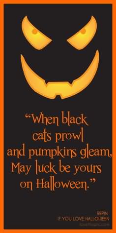 when-black-cats-prowl-and-pumpkins-gleam-may-luck-be-yours-on-halloween
